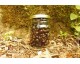 Confiture extra de Cassis (avec pépins)